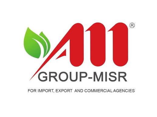 Am Group Misr